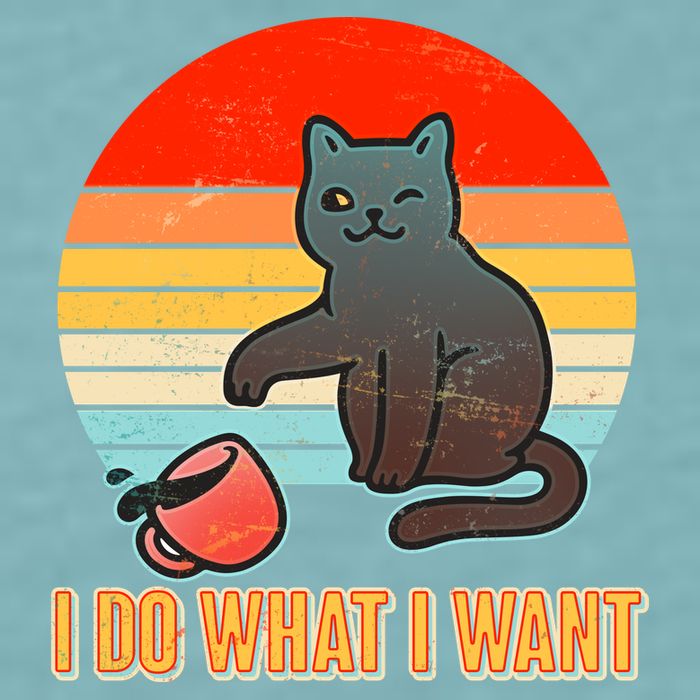 I Do What I Want Bad Cat Sueded Cloud Jersey T-Shirt