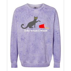 I Do What I Want Evil Cat Colorblast Crewneck Sweatshirt