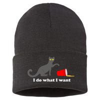 I Do What I Want Evil Cat Sustainable Knit Beanie