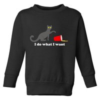 I Do What I Want Evil Cat Toddler Sweatshirt