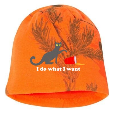 I Do What I Want Evil Cat Kati - Camo Knit Beanie