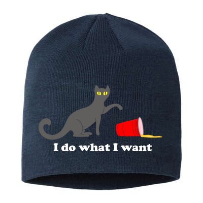 I Do What I Want Evil Cat Sustainable Beanie