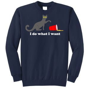 I Do What I Want Evil Cat Tall Sweatshirt