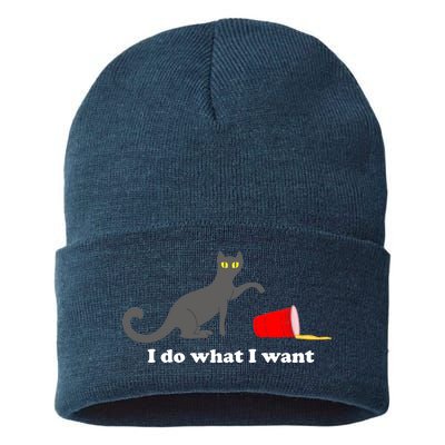 I Do What I Want Evil Cat Sustainable Knit Beanie