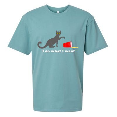 I Do What I Want Evil Cat Sueded Cloud Jersey T-Shirt
