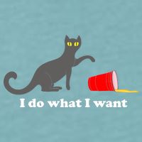I Do What I Want Evil Cat Sueded Cloud Jersey T-Shirt