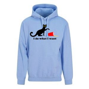 I Do What I Want Evil Cat Unisex Surf Hoodie