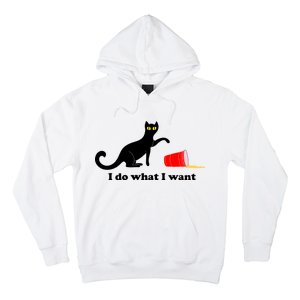 I Do What I Want Evil Cat Hoodie