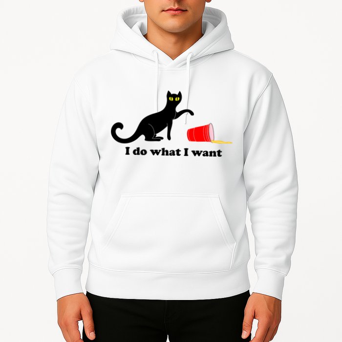 I Do What I Want Evil Cat Hoodie