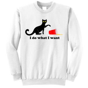 I Do What I Want Evil Cat Sweatshirt