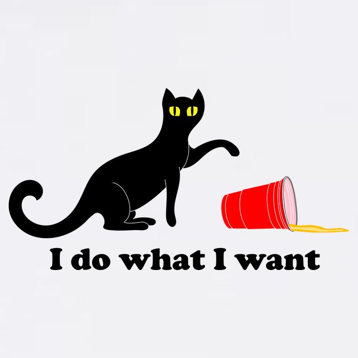 I Do What I Want Evil Cat Tall T-Shirt