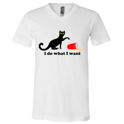 I Do What I Want Evil Cat V-Neck T-Shirt