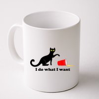 I Do What I Want Evil Cat Mug
