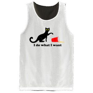 I Do What I Want Evil Cat Mesh Reversible Basketball Jersey Tank