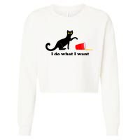 I Do What I Want Evil Cat Cropped Pullover Crew