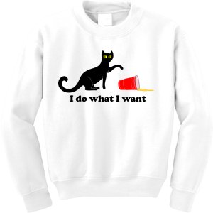 I Do What I Want Evil Cat Kids Sweatshirt