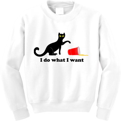 I Do What I Want Evil Cat Kids Sweatshirt