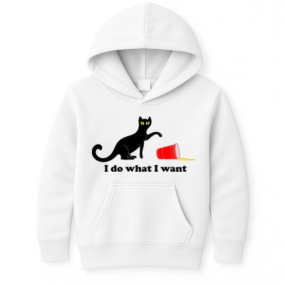 I Do What I Want Evil Cat Kids Hoodie