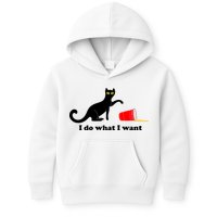 I Do What I Want Evil Cat Kids Hoodie