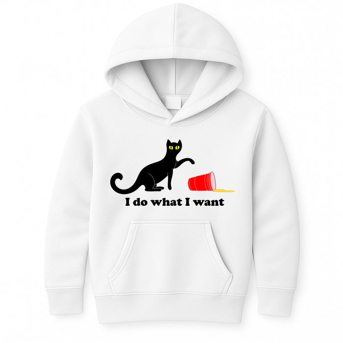I Do What I Want Evil Cat Kids Hoodie