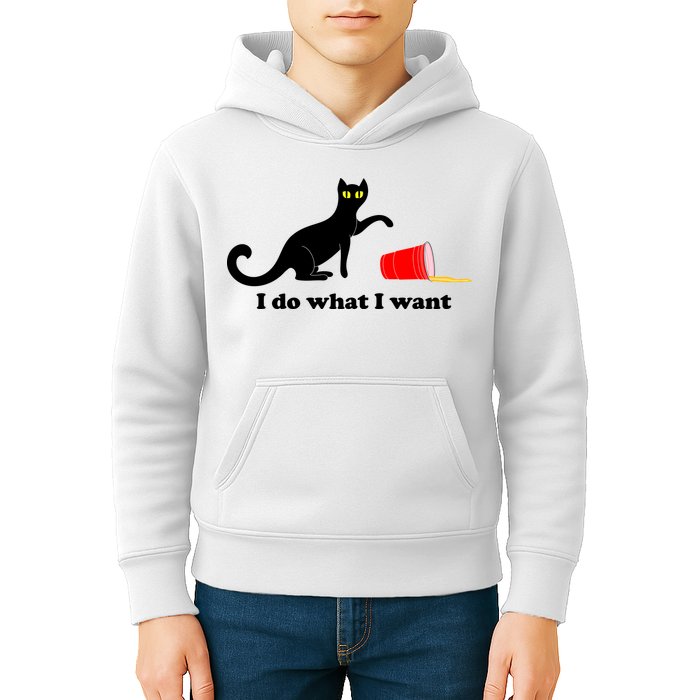 I Do What I Want Evil Cat Kids Hoodie