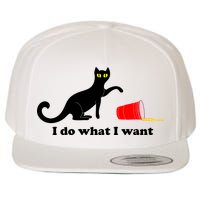 I Do What I Want Evil Cat Wool Snapback Cap