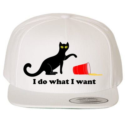 I Do What I Want Evil Cat Wool Snapback Cap