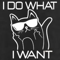 I Do What I Want Funny Cat 7 Panel Mesh Trucker Snapback Hat