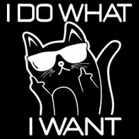 I Do What I Want Funny Cat 7-Panel Snapback Hat