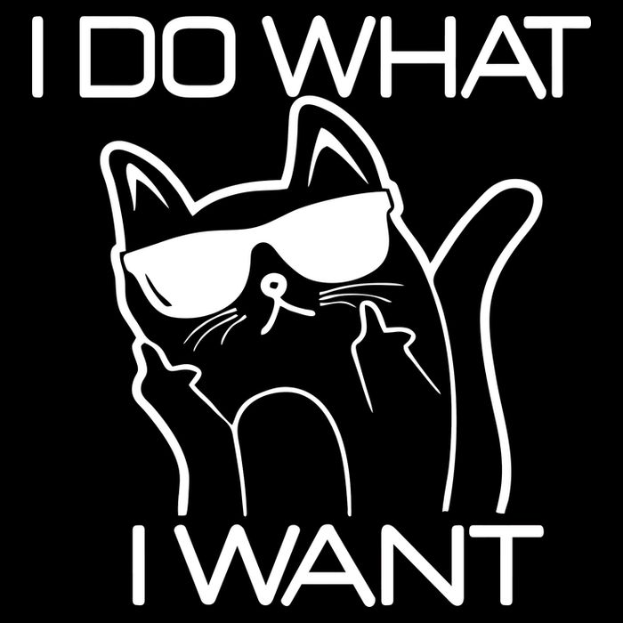 I Do What I Want Funny Cat 7-Panel Snapback Hat