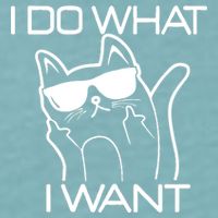 I Do What I Want Funny Cat Sueded Cloud Jersey T-Shirt