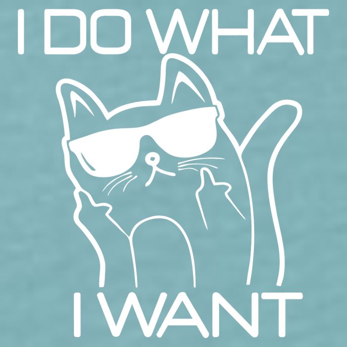 I Do What I Want Funny Cat Sueded Cloud Jersey T-Shirt