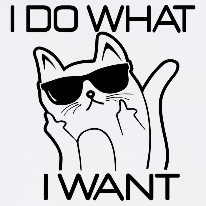 I Do What I Want Funny Cat Hoodie
