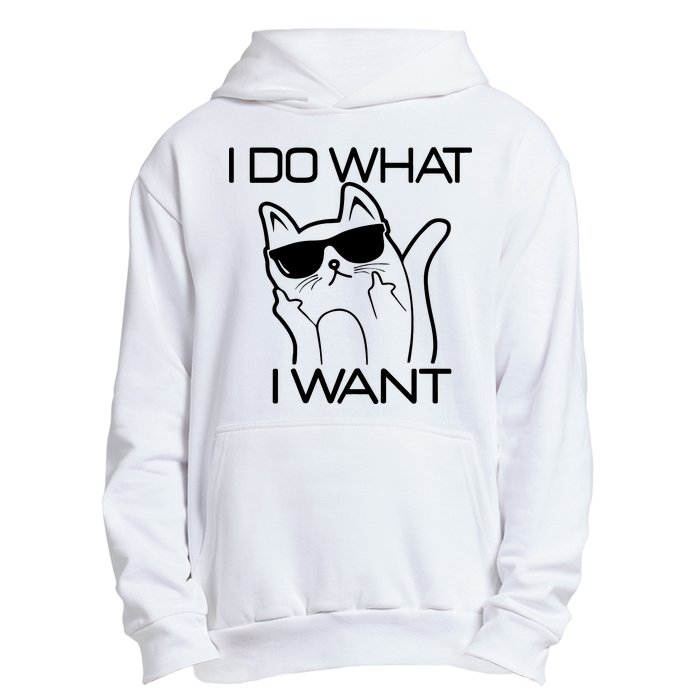 I Do What I Want Funny Cat Urban Pullover Hoodie