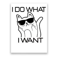 I Do What I Want Funny Cat Poster