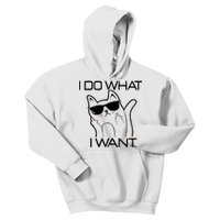 I Do What I Want Funny Cat Kids Hoodie