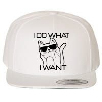 I Do What I Want Funny Cat Wool Snapback Cap