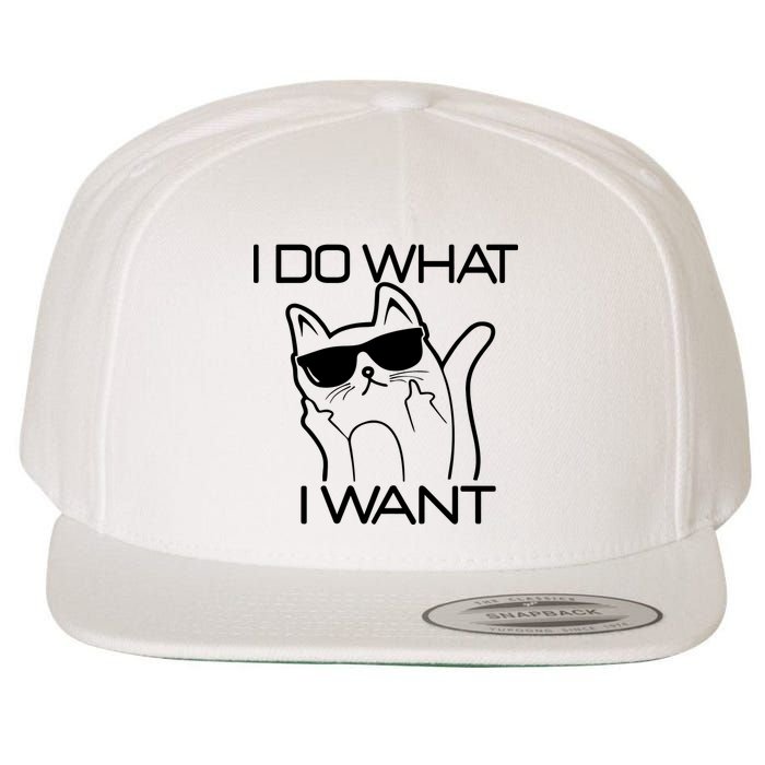 I Do What I Want Funny Cat Wool Snapback Cap