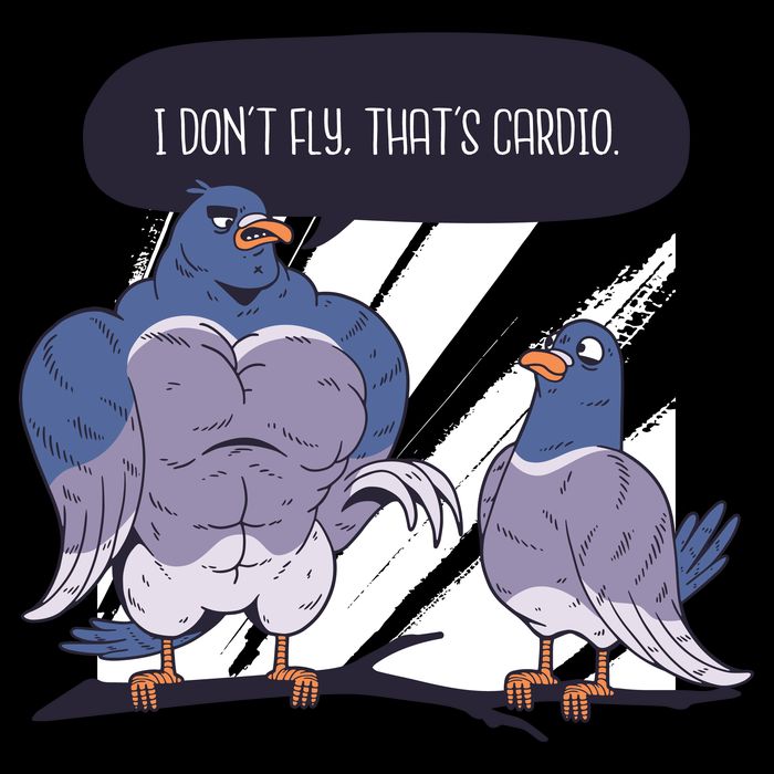 I Don't Fly That's Cardio Pigeon Funny 16 in Basic Backpack