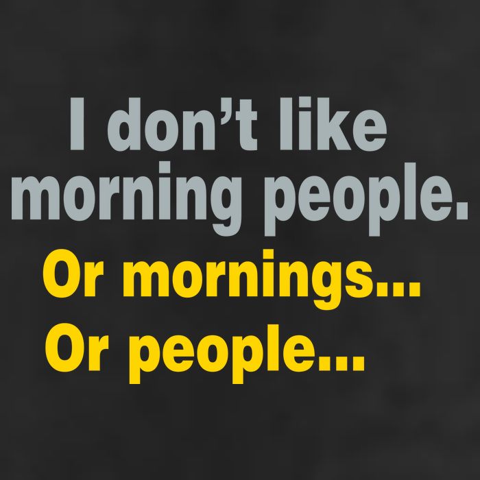 I Don't Like Morning People Adult Drive Performance Visor