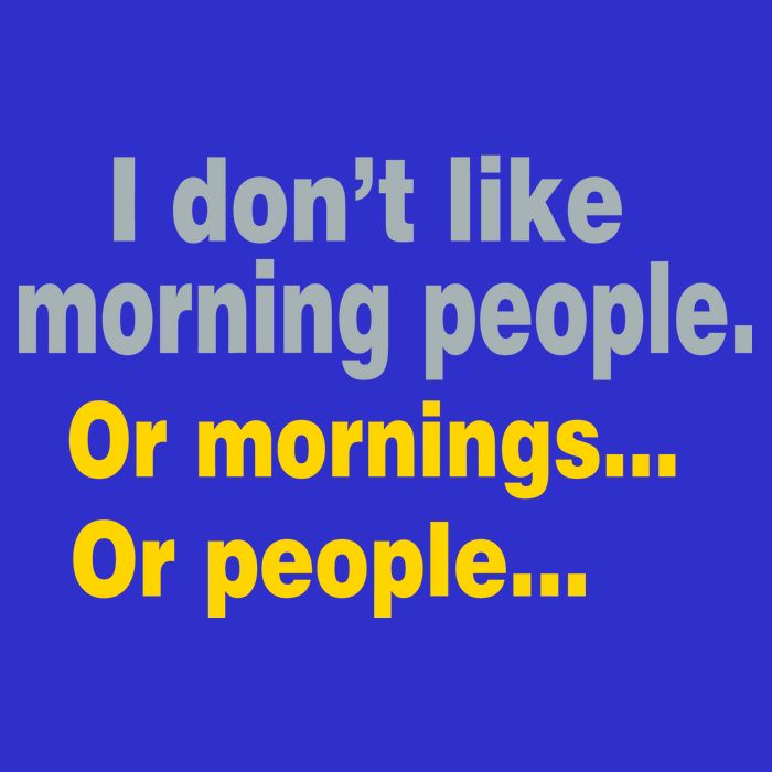 I Don't Like Morning People Hoodie