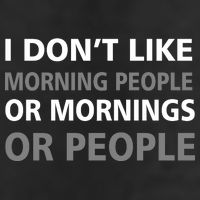 I Don't Like Mornings Or People 25L Jumbo Tote
