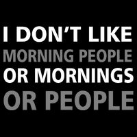 I Don't Like Mornings Or People Cropped Pullover Crew