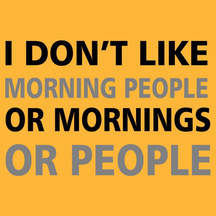 I Don't Like Mornings Or People Toddler T-Shirt