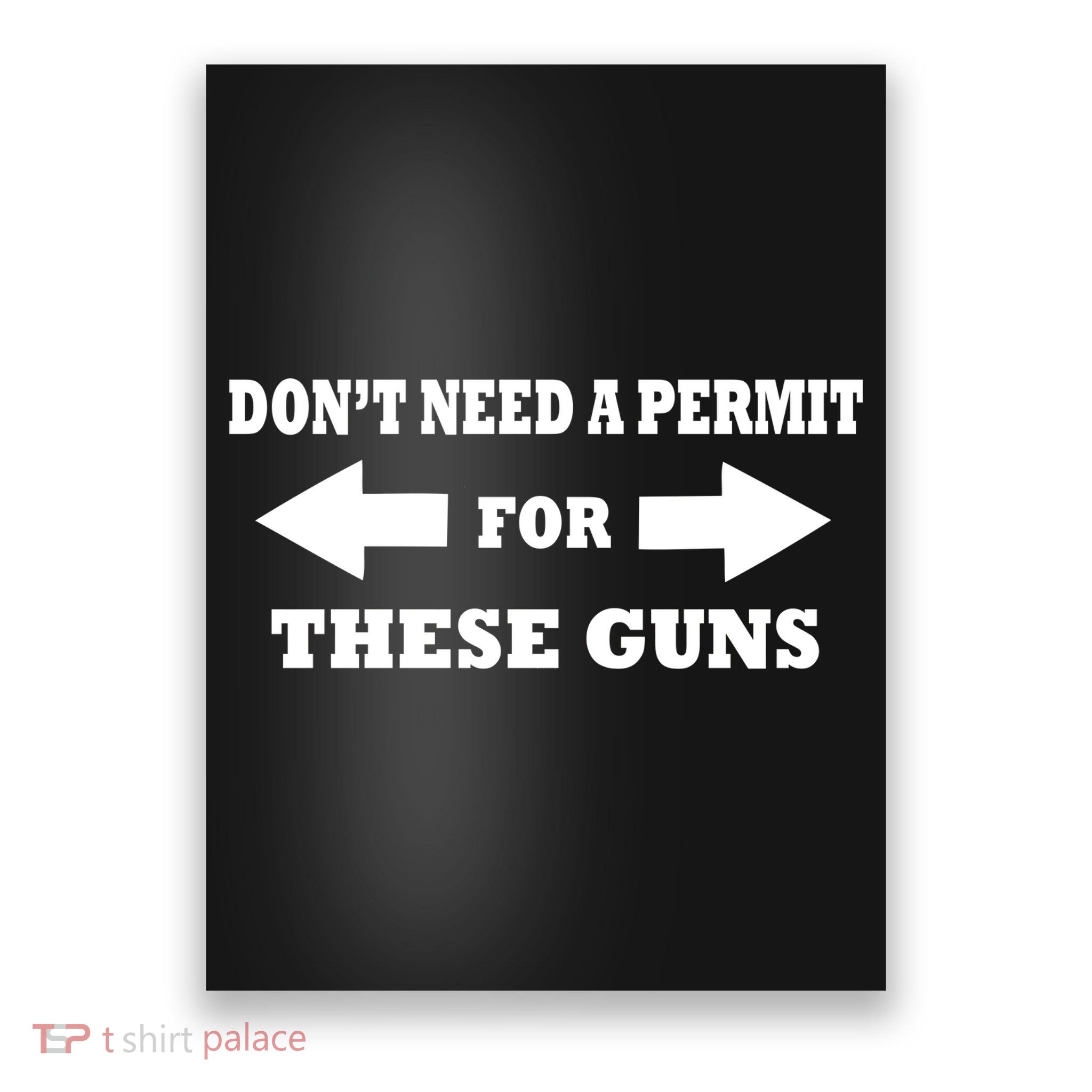 I don't Need A Permit For These Guns Poster