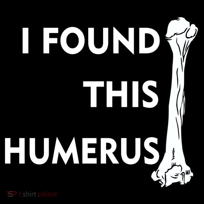 I Found This Humerus Toddler T-Shirt