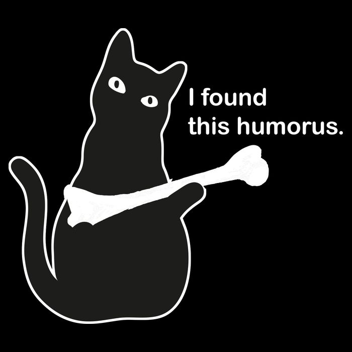 I Found This Humorous Cat Button