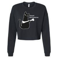 I Found This Humorous Cat Cropped Pullover Crew