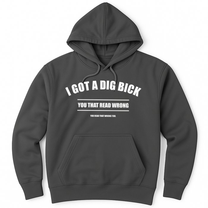 I Got a Dig Bick You Read That Wrong Funny Word Play Hoodie