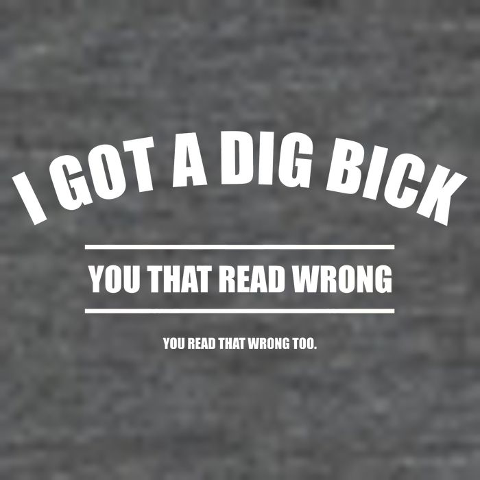 I Got a Dig Bick You Read That Wrong Funny Word Play T-Shirt